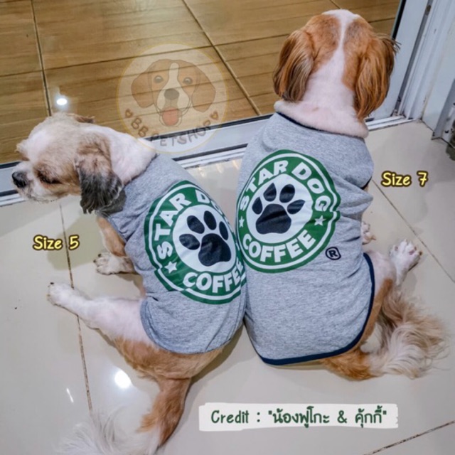 ภาพหน้าปกสินค้าSALE ล้างสต็อค เสื้อสุนัข แมว(Size 5)(รอบอก45-48cm) สกรีนลายน่ารักๆ สวยงาม จากร้าน pakapui บน Shopee