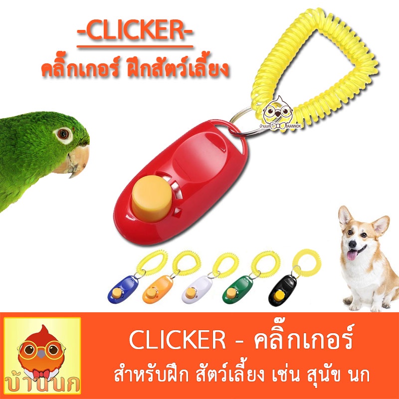 clicker-คลิ๊กเกอร์-ฝึกสัตว์เลี้ยง-ฝึกสุนัข-ฝึกนก-นกแก้ว-หมา-สุนัข-pet-training