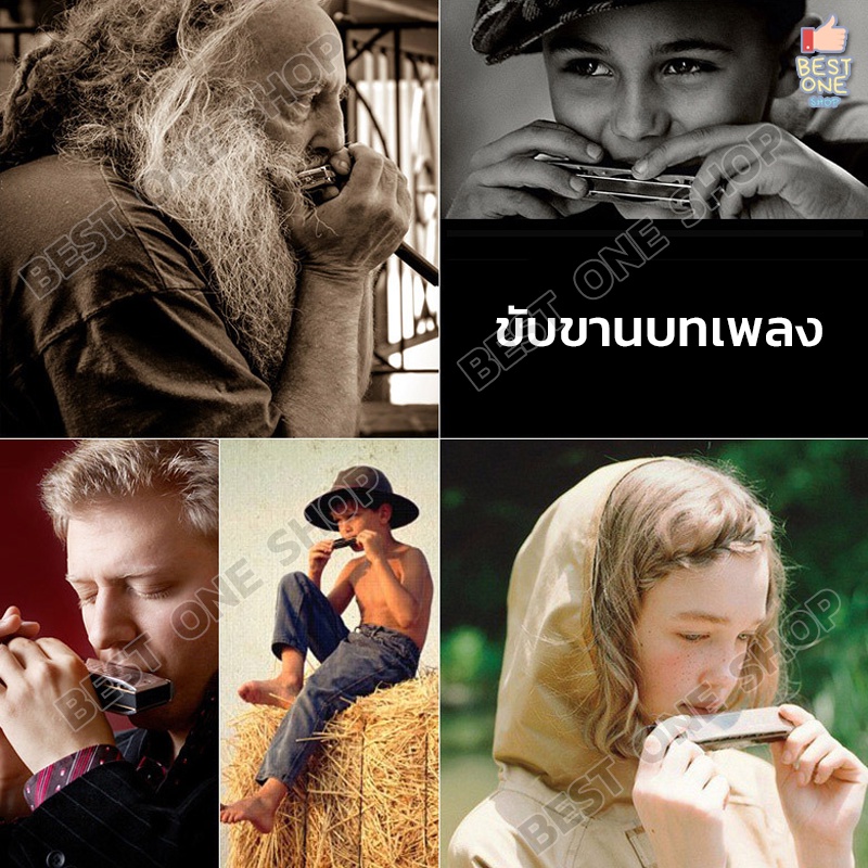 a243-ฮาร์โมนิก้า-10-ช่อง-คีย์-c-เม้าส์ออแกน-เมาส์ออแกน-harmonica-พร้อมกล่องแข็งและผ้าเช็ด