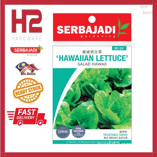 เมล็ดพันธุ์ผัก-serbajadi-hawaii-lettuce-salad-hawaii-bbs047-เมล็ดพันธุ์-ty0d