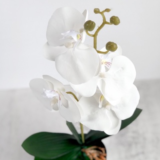 ภาพขนาดย่อของภาพหน้าปกสินค้าดอกไม้ประดิษฐ์ Phalaenopsis High-End สําหรับตกแต่งบ้าน จากร้าน moshee.th บน Shopee ภาพที่ 6