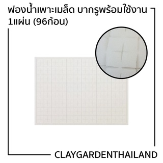 สินค้า ฟองน้ำเพาะเมล็ด ปลูกผักไฮโดรโปนิกส์ 1แผ่น(96ก้อน) เนื้อละเอียด A++