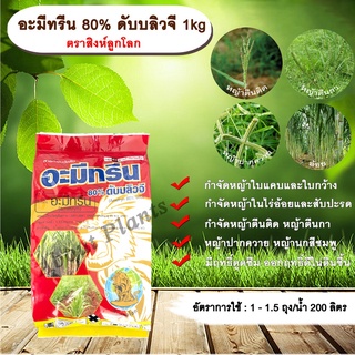 อะมีทรีน 80% ดับบลิวจี 1kg. ตราสิงห์ลูกโลก อะมีทรีน อามีทรีน สารกำจัดวัชพืช กำจัดหญ้า ใบแคบและใบกว้าง กำจัดหญ้าในอ้อย