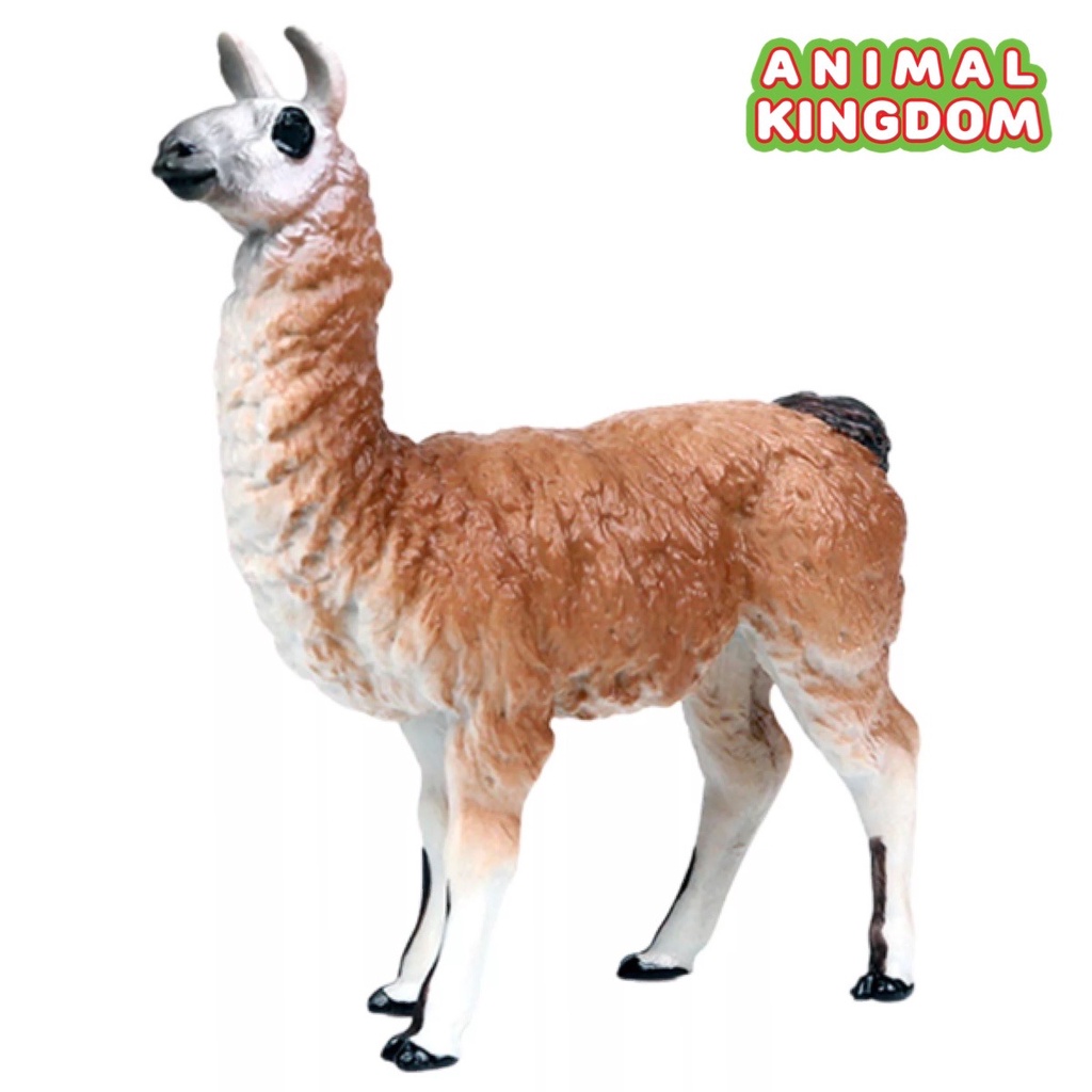 animal-kingdom-โมเดลสัตว์-ลามะ-ขนาด-9-50-cm-จากหาดใหญ่