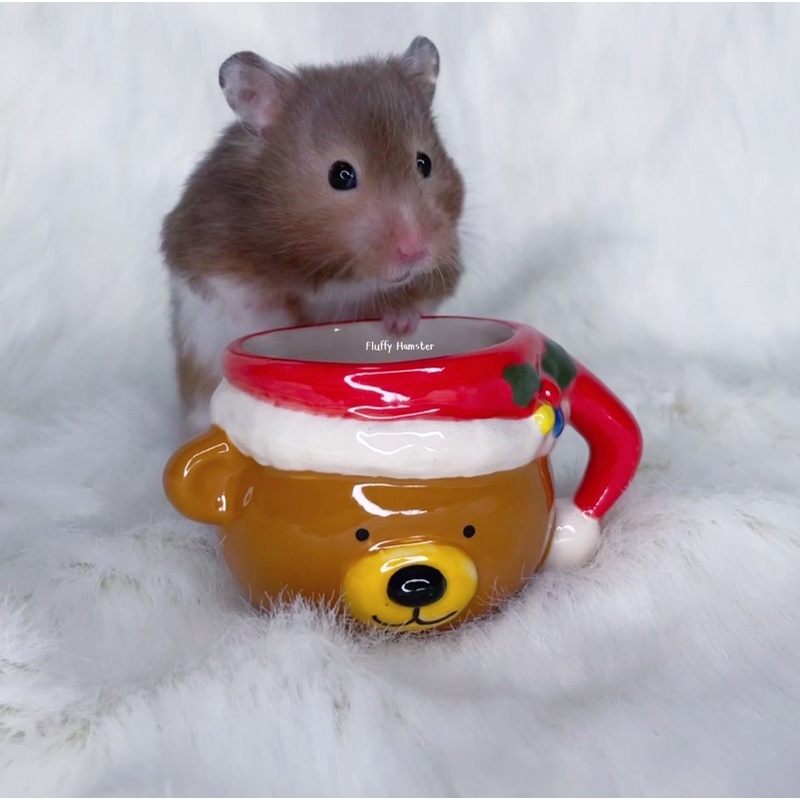 ถ้วยอาหารเซรามิคเคลือบ-ธีมคริสมาสต์-สำหรับหนูแฮมสเตอร์-นกพันธุ์เล็ก