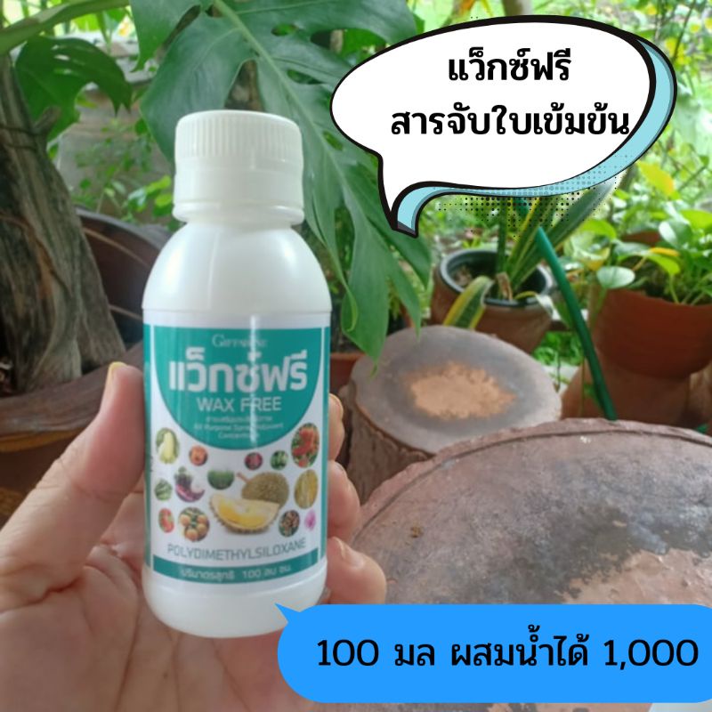 กิฟฟารีน-สารจับใบสูตรใหม่-แว๊กซ์ฟรี-wax-free-สารเสริมประสิทธิภาพซึมผ่านใบไม่ต้องการระยะเวลาปลอดฝนแต่ขณะฉีดพ่นฝนต้องไม่ตก