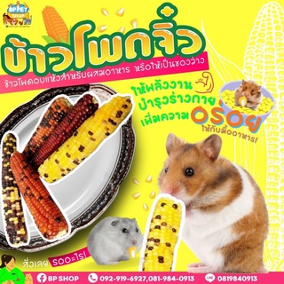 (BP Pets)ข้าวโพดลับฟัน ขนมหนูแฮมเตอร์ ชูก้าร์ กระรอก ของลับฟันหนูแฮมเตอร์