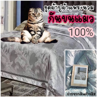 ผ้าแพรปู+นวม6ชิ้นลื่นกันขนแมว100%