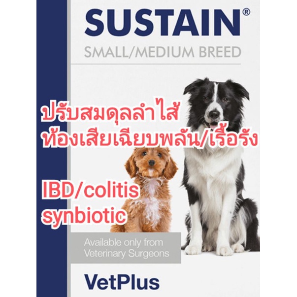 แบ่งขาย-sustain-vetplus-synbioticสุนัข-อาหารเสริมจุลินทรีย์สุนัข-สุนัขท้องเสีย-หมาท้องเสีย-สุนัขลำไส้อักเสบ-หนัก-lt-20kg