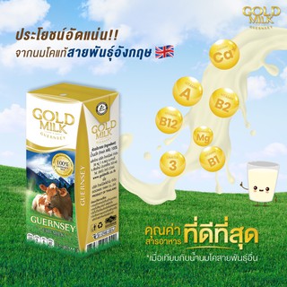 ภาพหน้าปกสินค้าGoldMilk UHT Milk ⭐️⭐️🌟🌟🌟 ซึ่งคุณอาจชอบราคาและรีวิวของสินค้านี้