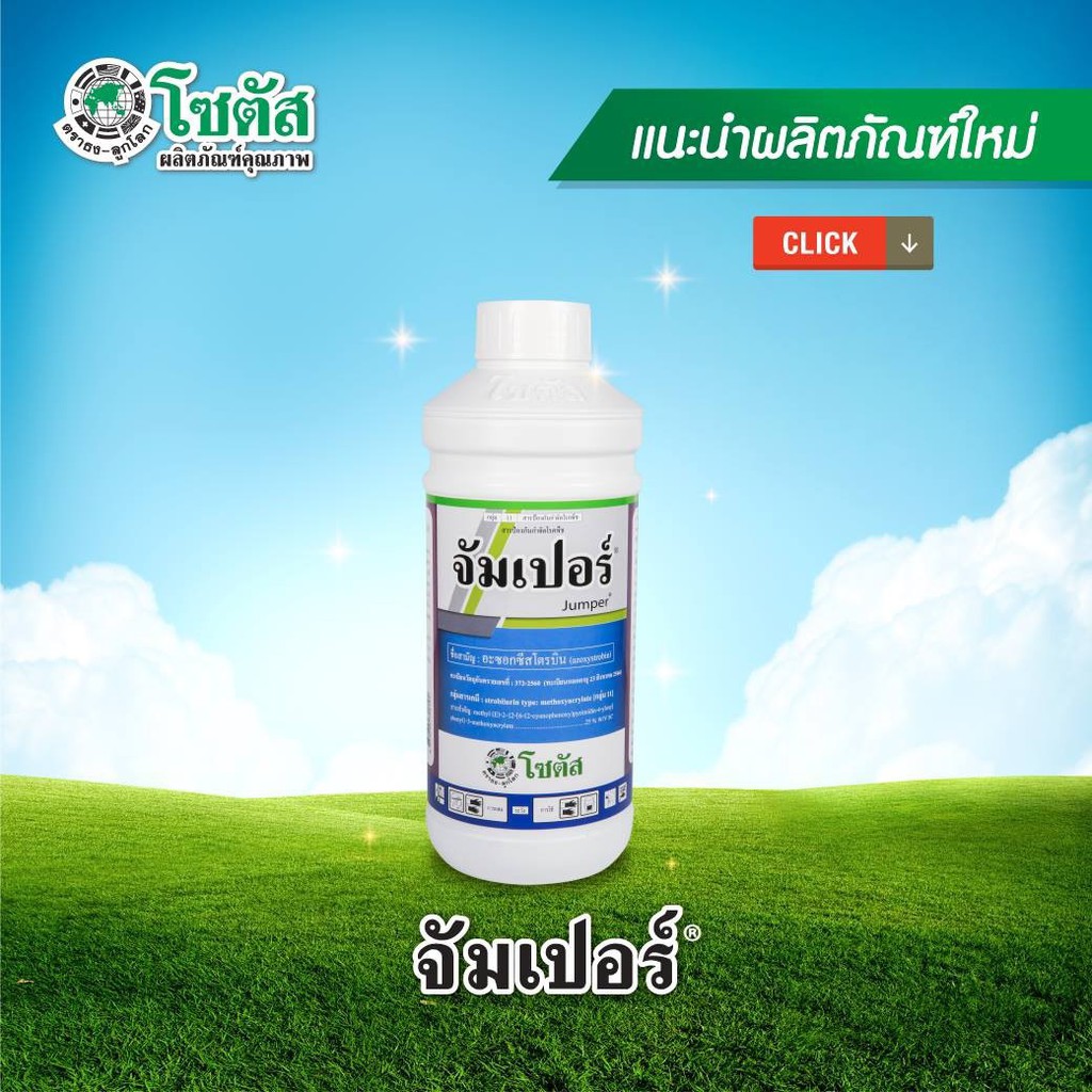 จัมเปอร์-ขนาด-1-ลิตร-อะซอกซีสโตรบิน25-กำจัดกุ้งแห้ง-แอนแทรคโนส-กาบใบแห้ง