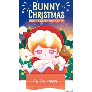 💗พร้อมส่งแบบแยกตัว🚀Bunny Christmas 🎄