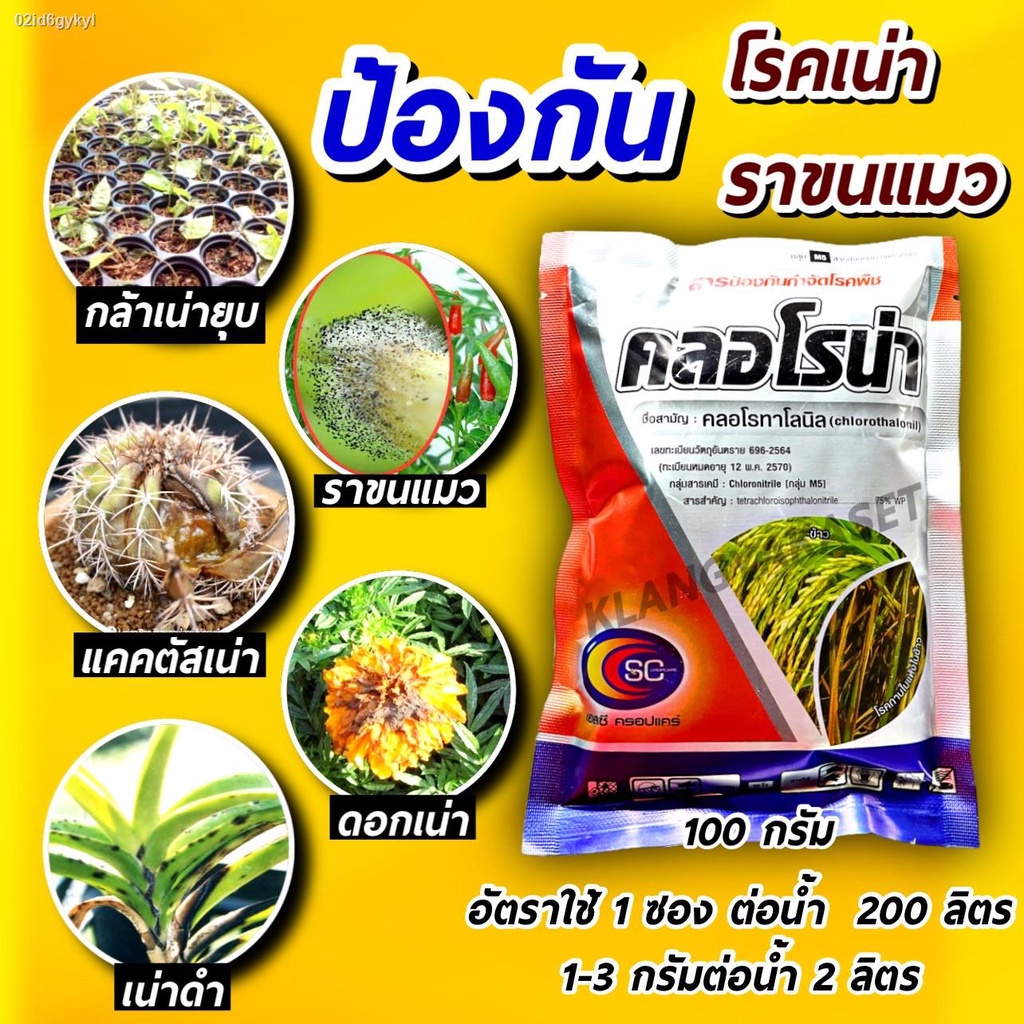 คลอโรน่า-ขนาด-100-กรัม-สารกำจัดป้องกัน-โรคพืช-ราขนแมว-รากเน่าโคนเน่า-โรคยุบ-โรคเน่า-แคคตัส-โรคเน่าดำ-ดอกเน่า