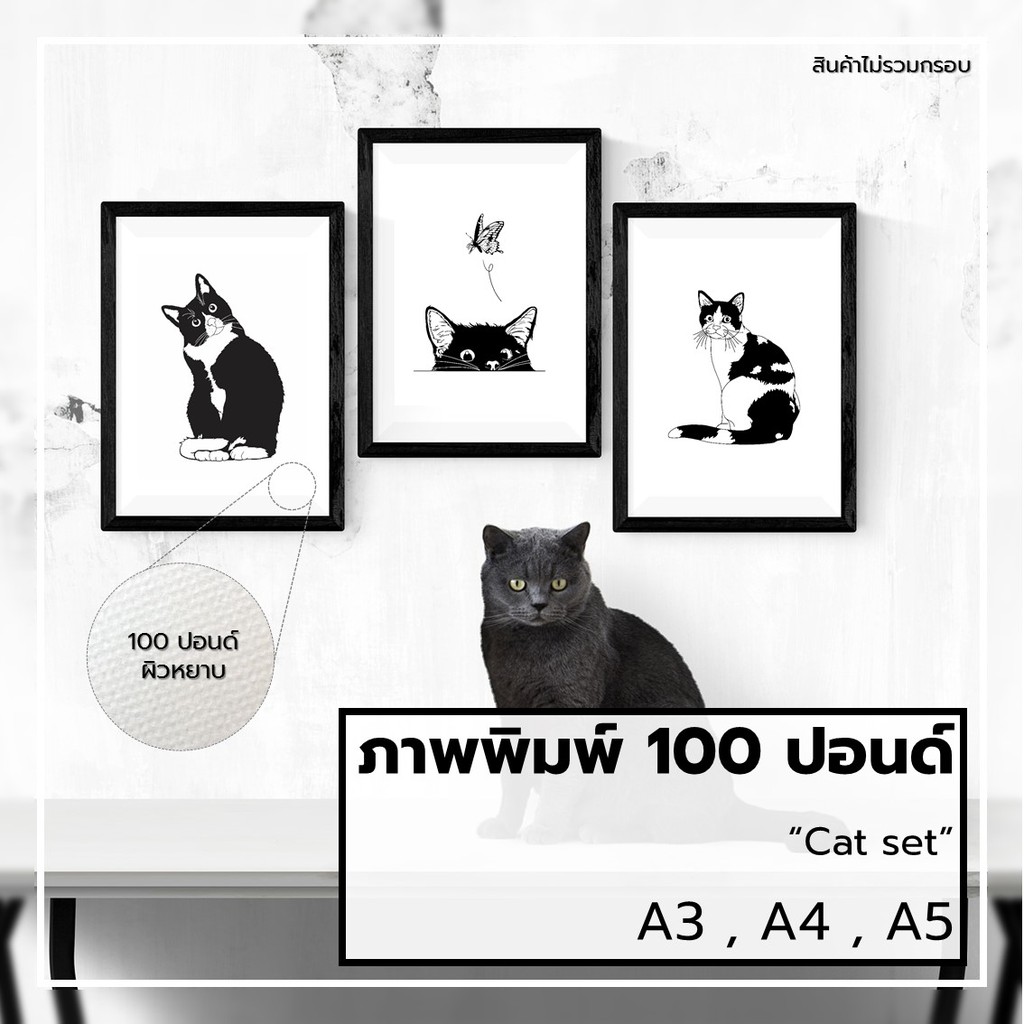 ภาพแมว-รูปแมว-รูปตกแต่ง-ภาพพิมพ์-กระดาษ-100ปอนด์-ขนาด-a3-a4-a5-a6-ภาพติดผนัง-รูปติดผนัง-ทาสแมว-แมว-ขาว-ดำ