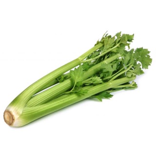 ผักสด - 💚💚เซเลอรี่ Celery ขึ้นฉ่ายฝรั่ง ขนาด 8ขีด- 1 กิโล/ต้น