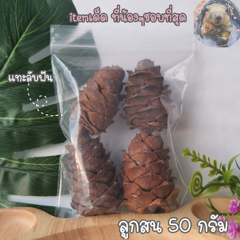 ลูกสน-pine-cone-50-กรัม-ลูกสนนำเข้า-แทะลับฟัน-ของแทะกระรอก-สำหรับ-สัตว์ฟันแทะ-กระรอก-นก-หนู