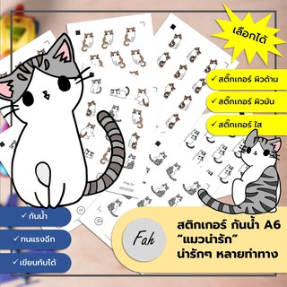 Sticker,สติ๊กเกอร์,แมว,น่ารัก,A6,ไดคัท,Die cut,กันน้ำ,เขียนได้,หลายสี,DIY,สีสวย,น่ารัก,การ์ตูน,ตกแต่ง,Cat,การ์ตูน,Animal