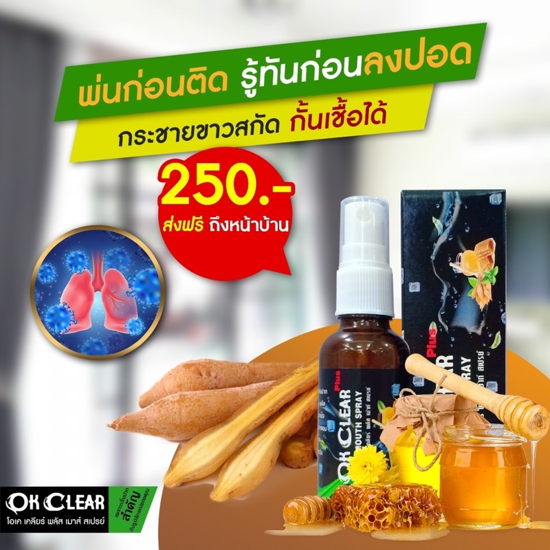 ภาพสินค้าok clear OK Clear Plus Mouth Spray สเปรย์สารสกัดกระชายขาวและโพรโพลิส จากร้าน nancy.materialgroup บน Shopee ภาพที่ 3