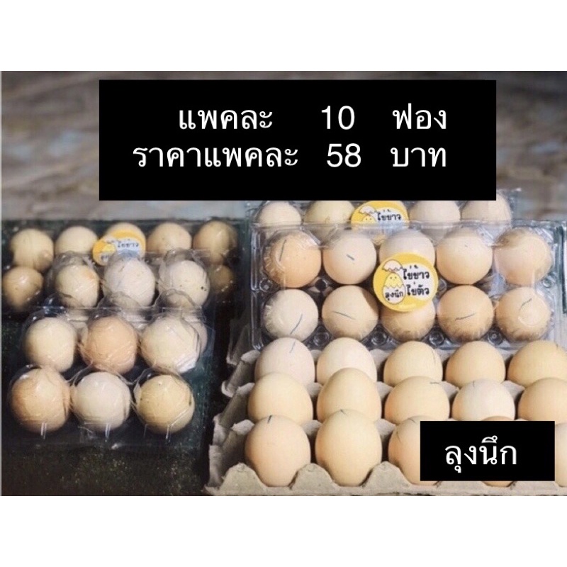 ภาพหน้าปกสินค้าไข่ข้าวไข่ตัวลุงนึก ราคา59บาท/10ฟอง ไข่ข้าวนึ่งสุก ไข่ฮ้างฮาง ไข่ลูกอ่อน จากร้าน chayuutii บน Shopee