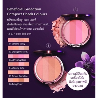 Orieจntal Princess Beneficial Gradation Compact Cheek Colours 12 g.  บลัชออน ปัดแก้ม