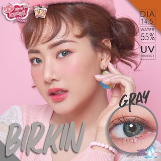 Birkin Gray (2) Kitty Kawaii สีเทา เทา ทรีโทน 3โทน ดูแพง ใส่สวย Contact Lens Bigeyes คอนแทคเลนส์ ค่าสายตา สายตา แฟชั่น