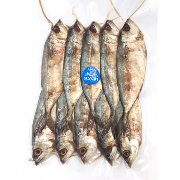 ภาพหน้าปกสินค้าปลาทูหอมเค็ม ปลอดสารพิษ จากร้าน wha_ocean บน Shopee