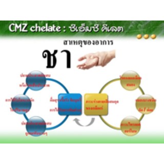 ภาพขนาดย่อของภาพหน้าปกสินค้าผลิตภัณฑ์อาหารเสริม ซีเอ็มซี คีเลต CMZ Chelated จากร้าน betaglucan888 บน Shopee ภาพที่ 4