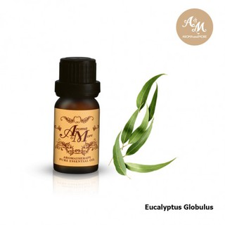 Aroma&amp;More Eucalyptus globulus "Blue Gum" Essential oil 100% / น้ำมันหอมระเหยยูคาลิปตัส Australia 10/30ML