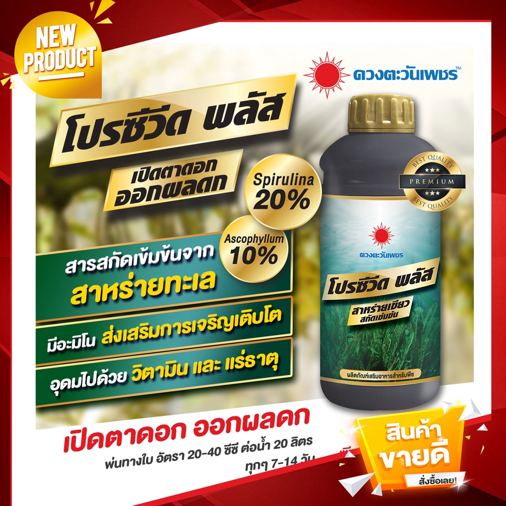 ราคาและรีวิวสาหร่ายเปิดตาดอก - โปรซีวีด พลัส ขนาด 1 ลิตร เปิดตาดอก เร่งออกดอกทุเรียน ไม้ผล และไม้ดอก ดอกดก ลดหลุดร่วง ดอกสมบูรณ์