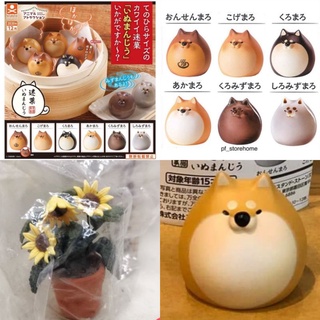 (แท้/กาชาปอง/มือ1,2) ชิบะติ่มซำ Kaineko Shoji Stray Confectionery Swastika gashapon CHIBA ชิบะ​ Re-ment​ กระถางดอกไม้