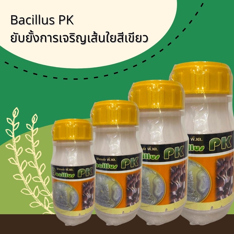 ภาพหน้าปกสินค้าบาซิลลัส PK พลายแก้วชีวภัณฑ์ ป้องกันและควบคุมเชื้อรา