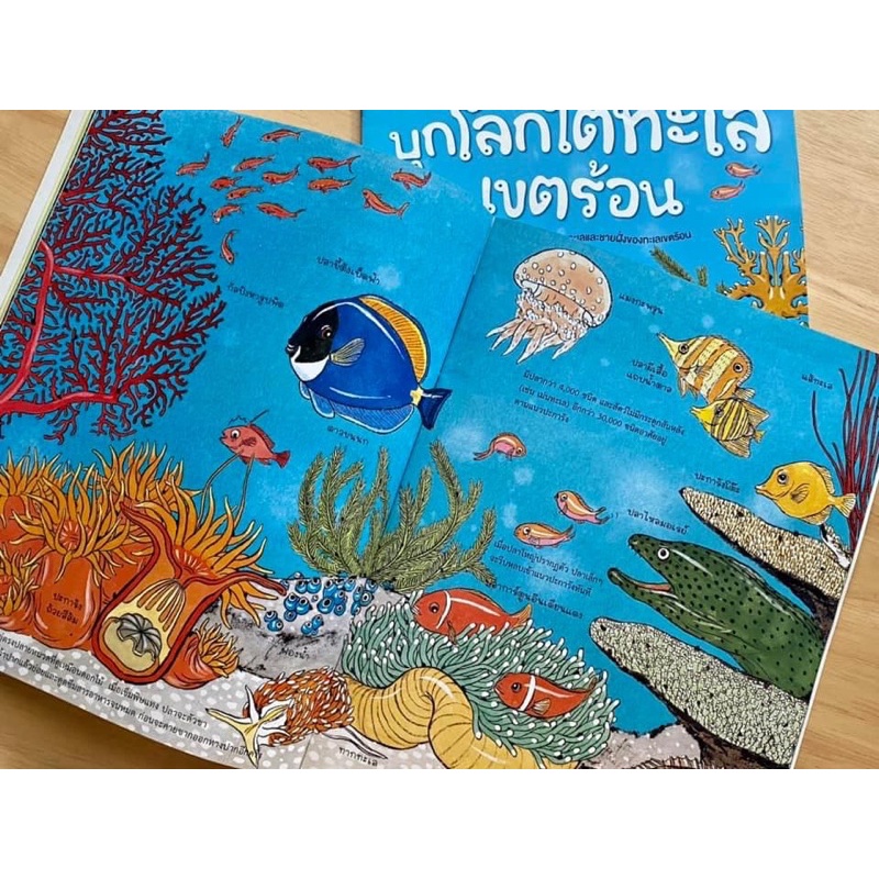 ไปกันไหมบุกโลกใต้ทะเลเขตร้อน-ราคาปก-145