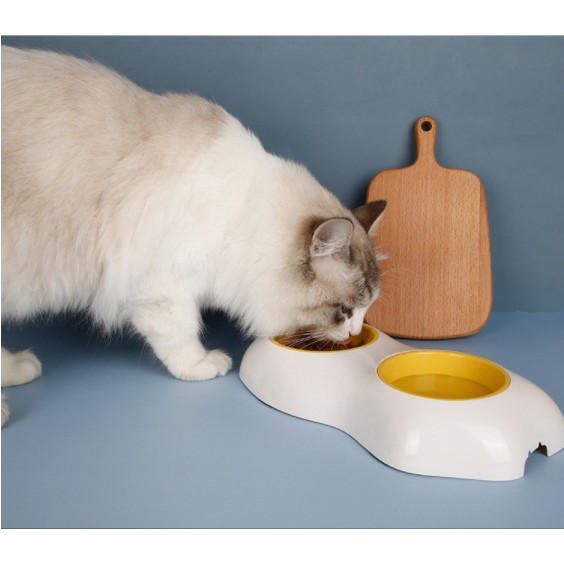 ภาพหน้าปกสินค้า[ABC cat] ชามอาหารสัตว์เลี้ยง รูปไข่ดาว ชามไข่ดาว ชามอาหาร [BL031] จากร้าน ttch.mjp บน Shopee