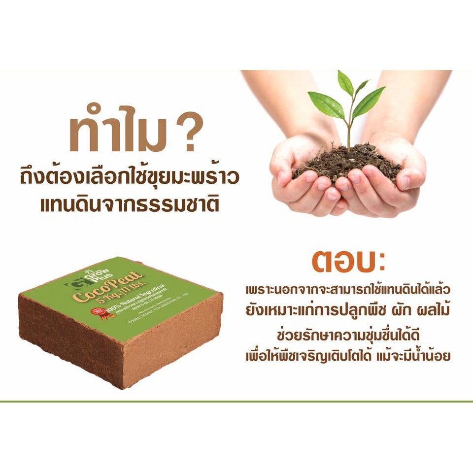 coco-peat-อัดก้อน-ขนาด-800-กรัม-ขยายได้-1-ถุงตามภาพ-ใช้แทนดิน-ผสมปุ๋ยแล้วใช้ได้เลย-พร้อมใช้-ล้างสารแทนินแล้ว-พร้อมใช้