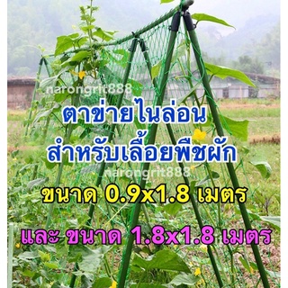 ภาพหน้าปกสินค้าAAA ตาข่ายไนล่อน ขนาด 0.9x1.8 เมตร และ 1.8x1.8 เมตร ตาข่ายปลูกผัก ตาข่ายค้างผัก ตาข่ายเลื้อยผัก ตาข่ายเลื้อยพืชผัก ที่เกี่ยวข้อง