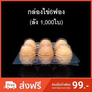 (ลัง 1,000ใบ) กล่องไข่6ฟอง กล่องใส่ไข่ กล่องพลาสติกใส่ไข่6ฟอง สำหรับไข่ #2