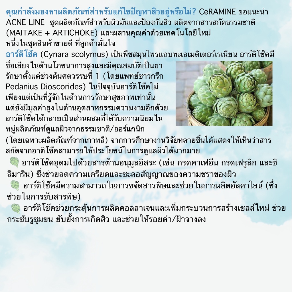 แอคเน่-ไลค์-ไมตาเกะ-พลัส-อาร์ติโช๊ค-แอคเน่-โฟม-acne-line-maitake-plus-artichoke-ance-foam