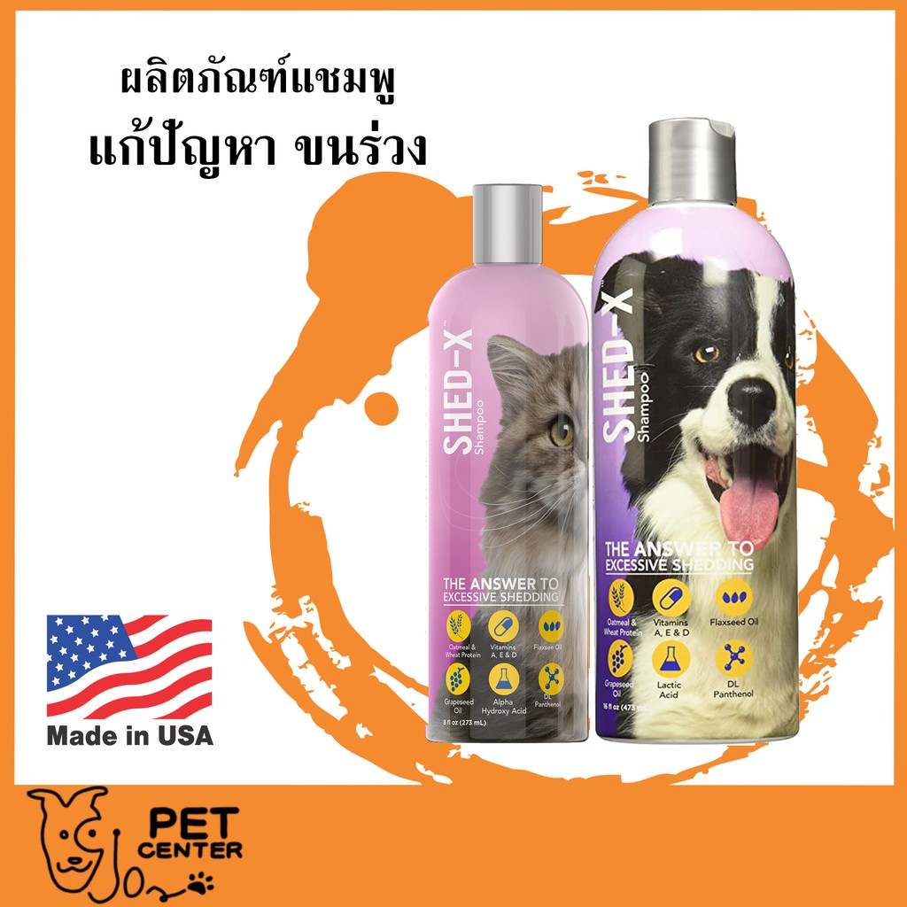 Shed 2025 x shampoo