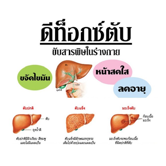 vitacel-gold-ไวต้าเซล-โกลด์-บำรุงตับ-60-แคปซูล-กระปุก-ของแท้