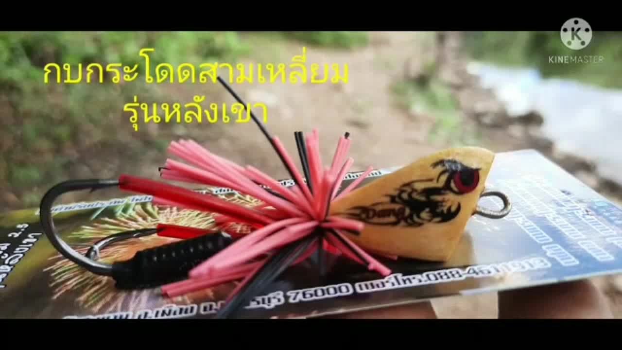 กบกระโดดสามเหลี่ยม-รุ่นหลังเขา-ขนาด2-5cm-โปรซื้อ-2-แถมกบยาง1