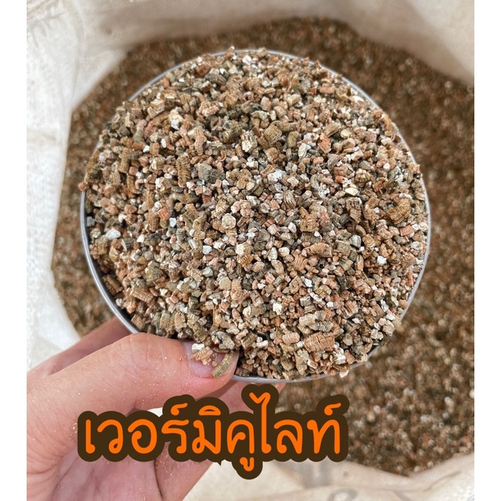 เวอร์มิคูลไลท์-vermiculite-ถูกที่สุด-มีราคาส่ง-เกรดนำเข้า