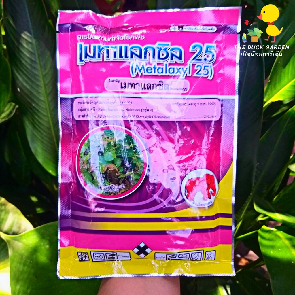 พร้อมส่ง-เมทาแลกซิล-25-สารป้องกันกำจัดโรคพืช-เชื้อรา-รากเน่าโคนเน่า-ราน้ำค้าง-ขนาด-100-กรัม-ของแท้