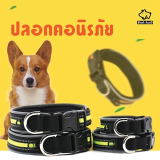 ปลอกคอสุนัข ปลอกคอหมา ปลอกคอสัตว์ สีเขียว มีแถบสะท้อนแสงกลางคืน 💥พร้อมส่ง จากไทย💥