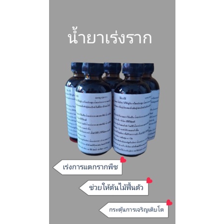 120-ซีซี-น้ำยาเร่งราก