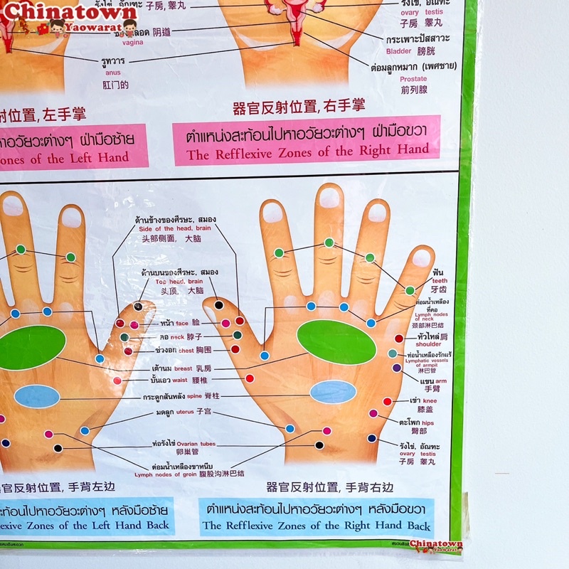 โปสเตอร์-กดจุดมือเขียว-poster-นวด-นวดแผนไทย-ฤษีดัดตน-กดจุดรักษาโรค-การนวดกดจุด-ลมปราณ-นวดแผนโบราณ-นวดแผนไทย