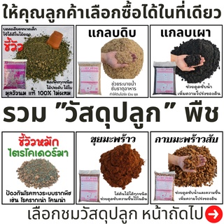 สินค้า รวม วัสดุปลูก พืช แกลบ ปอเทือง ขี้วัวหมักไตรโคเดอร์มา กาบขุยมะพร้าว ฟาง พีทมอส ใบจามจุรี ดิน ปลูก