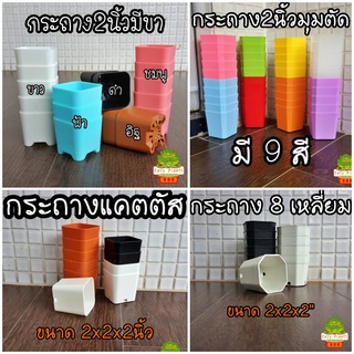 กระถาง 4, 8 เหลี่ยม ขนาด 2 นิ้ว กระถางพลาสติก กระถางแคตตัส มีพาสเทล สีหวาน ยืดหยุ่น ทนทาน ขั้นต่ำ 5 ใบ