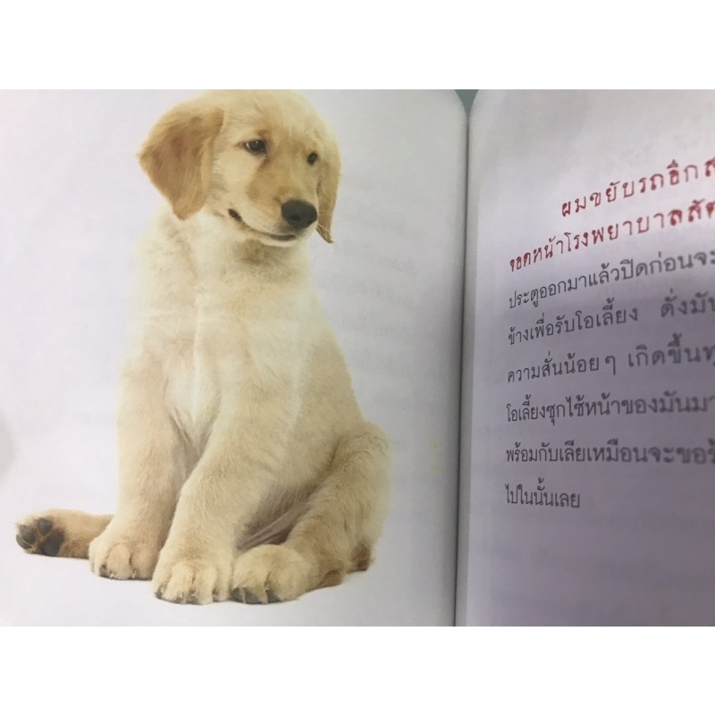 ส่งต่อ-หนังสือหมาเจ็บ-เกือบตายเพราะพาโวไวรัส