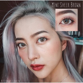 🔥 คอนแทคเลนส์ ✨ขนาดมินิ ✨Brown✨Mini Sheer (kittykawaii)