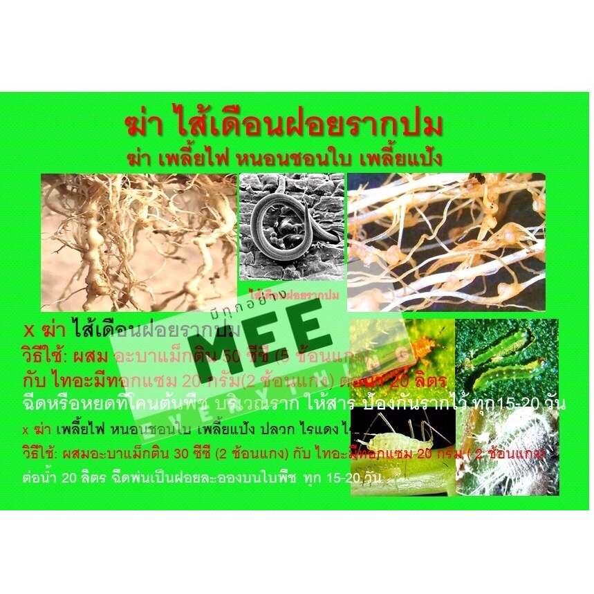 สารกำจัด ฆ่า ไส้เดือนฝอย รากปม รากขอด รากกุด กำจัดเพลี้ยไฟ หนอนชอนใบ ...